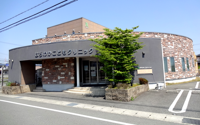 hachikawagaikan.png