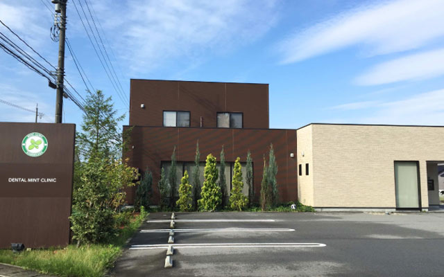 shikaminti-out-.jpg
